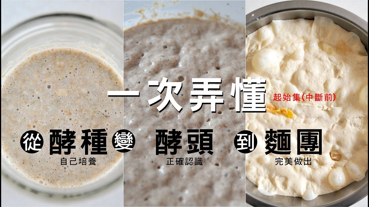 《不萊嗯的私房對談直播》(第02集-起始) - 一次弄懂 - 從酵種進入到酵頭到變成麵團