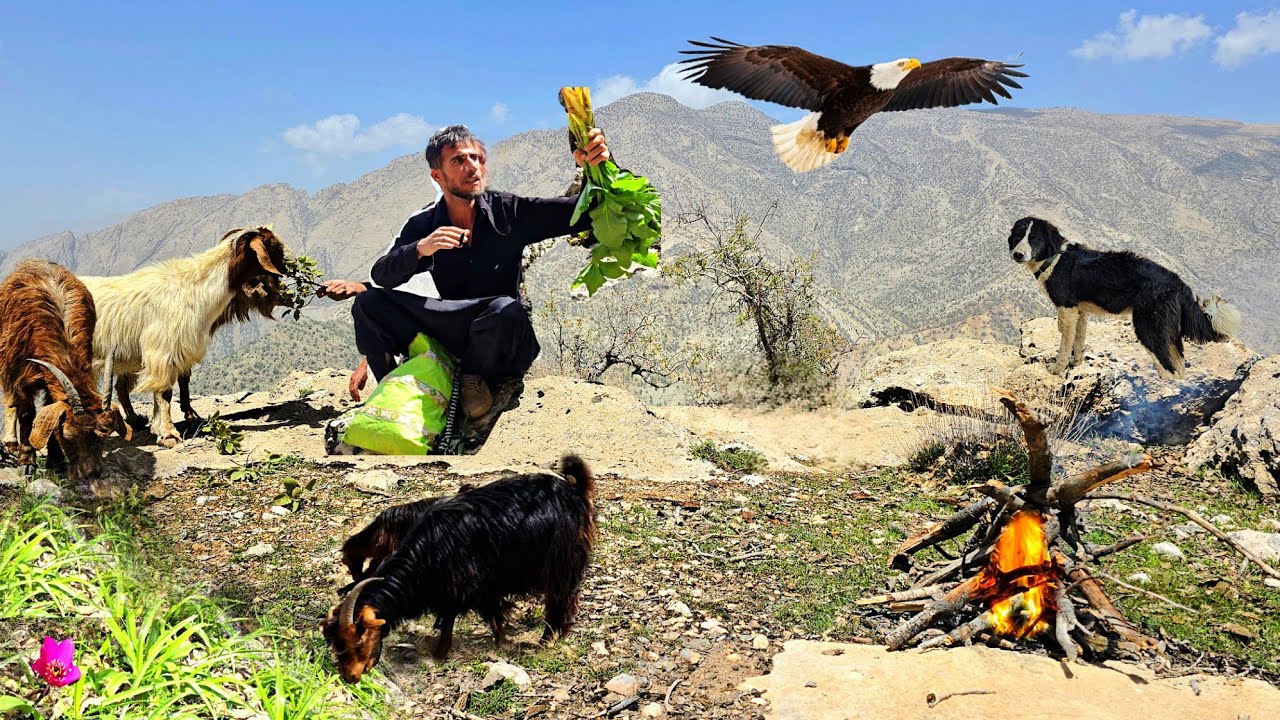Iranian Cave Nomads: Survival in Remote Zagros Mountains with Flock 🏔️🔥🐑