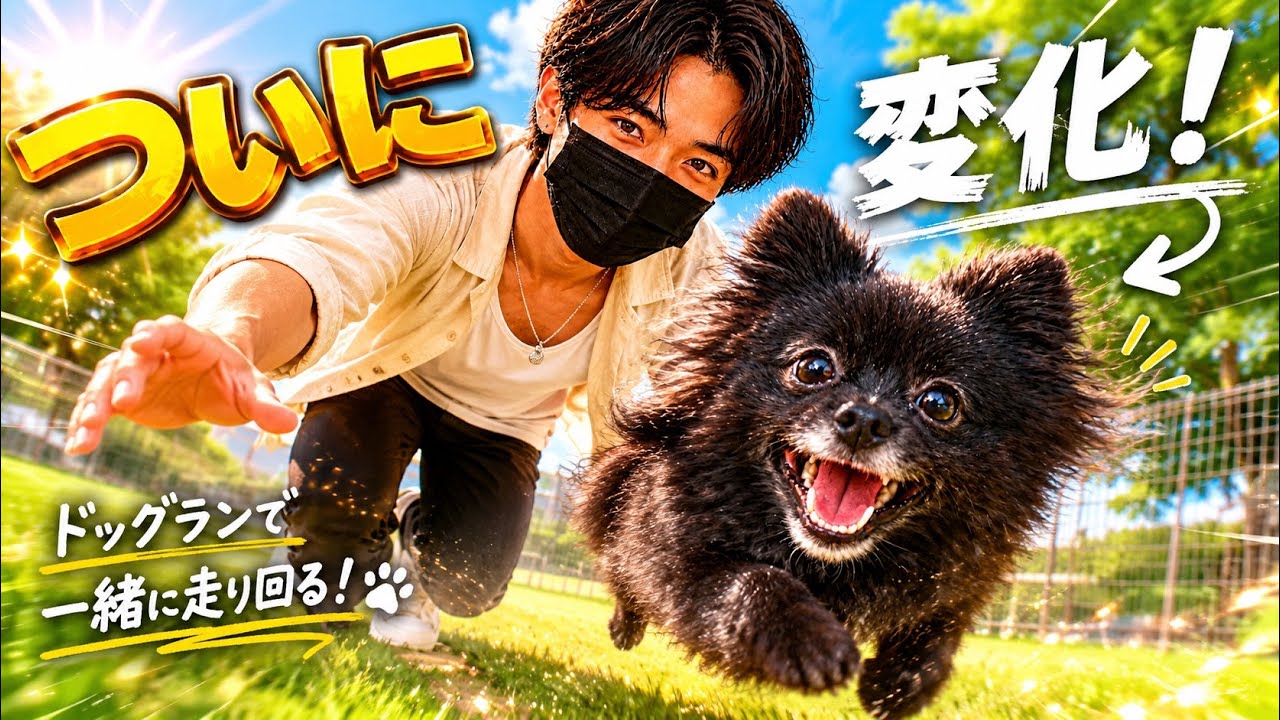 1人ぼっちでも頑張った黒ポメ。3回目でついに…