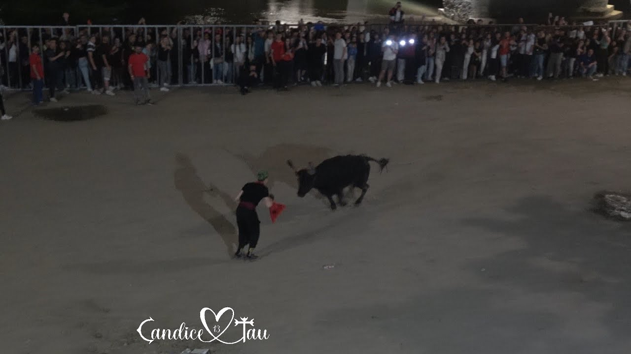 Féria ALES - Festival d'Encierro, Abrivado et de Vachette - 09.05.2024