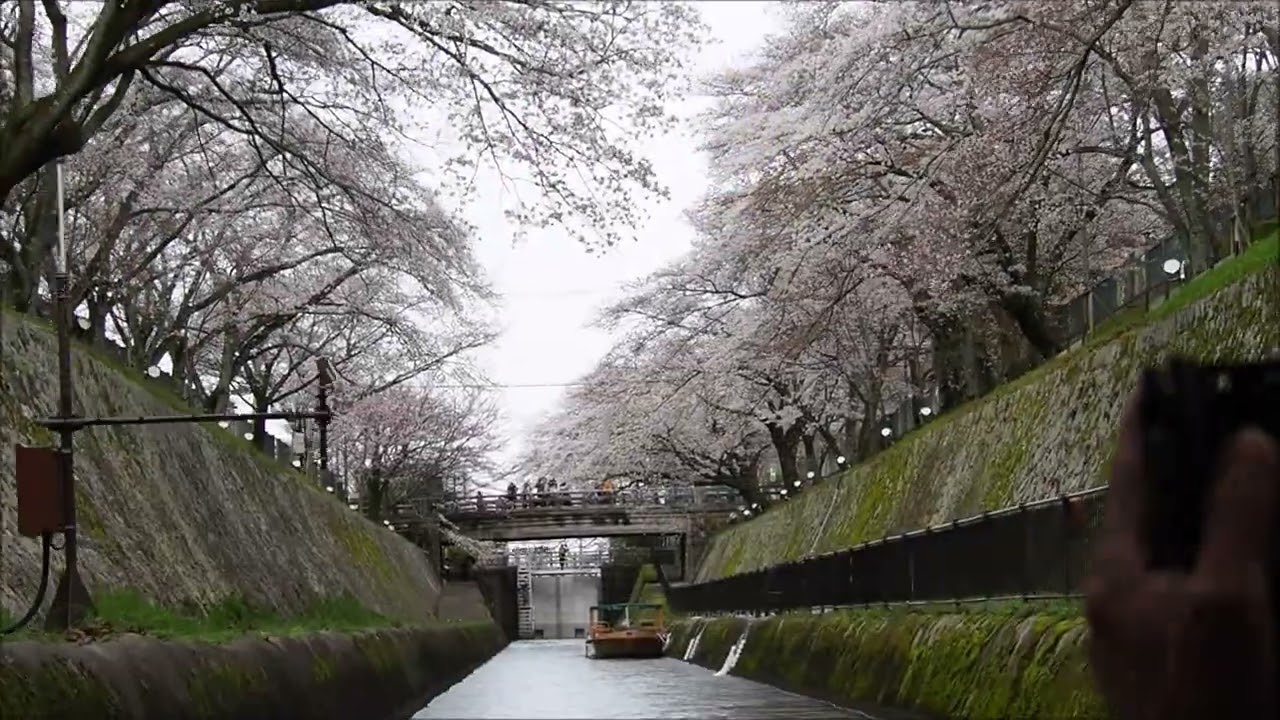 びわ湖疏水船　蹴上→大津港まで