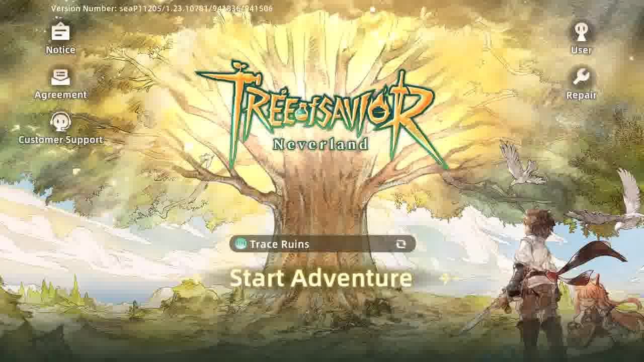 Tree Of Saviour Gameplay