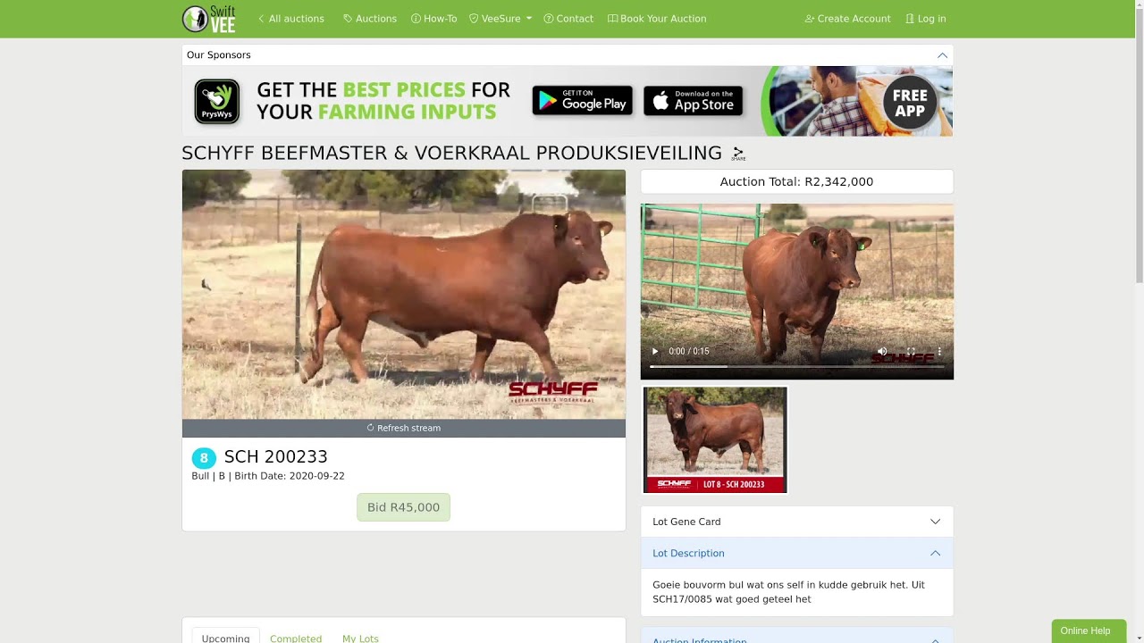 SCHYFF BEEFMASTER & VOERKRAAL PRODUKSIEVEILING