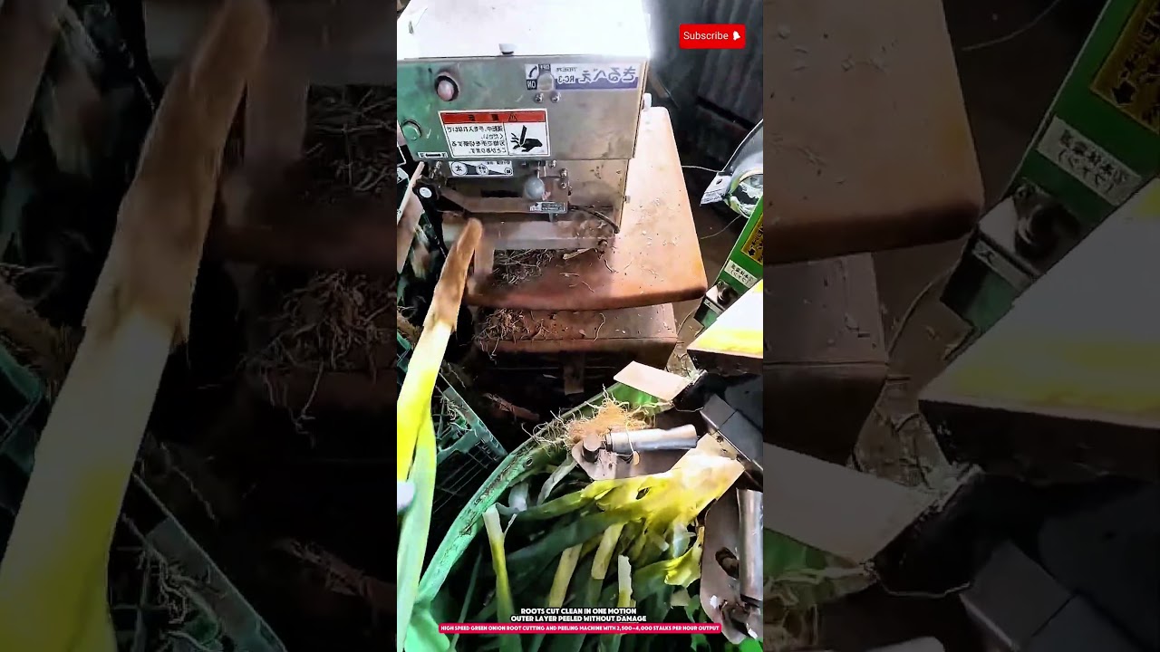 Automatic green onion root cutting and peeling machine with 2,500–4,000 stalks per hour output