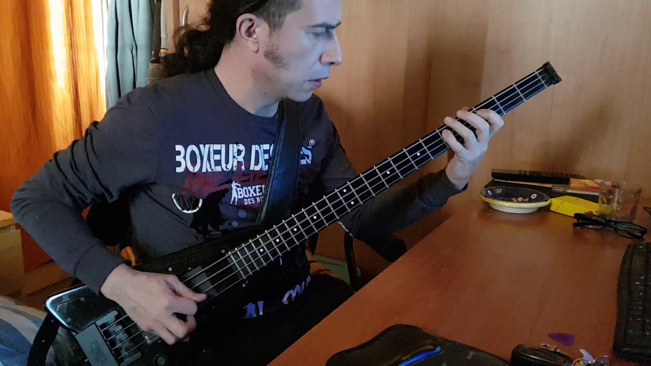 gli spari sopra - Vasco Rossi - cover bass - steinberger bass