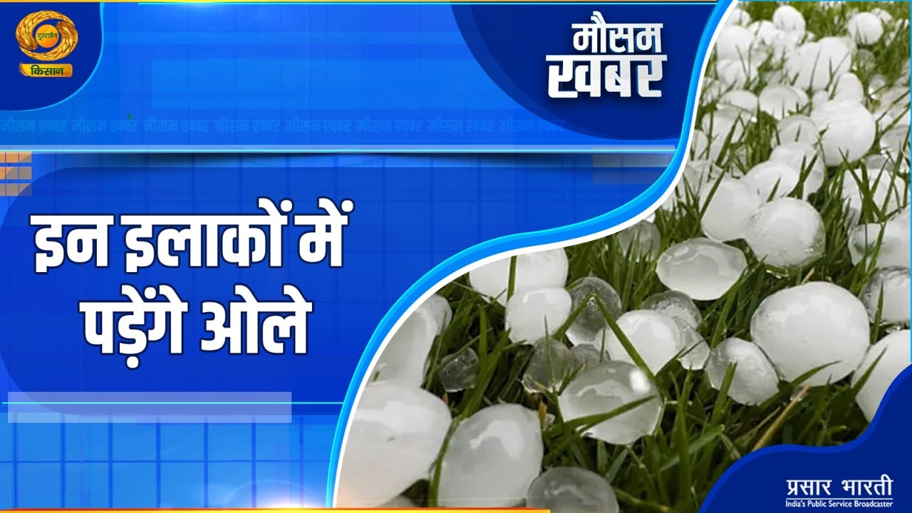 Mausam Khabar: मौसम खबर: इन इलाकों में पड़ेंगे ओले | DD Kisan | 17/03/2026