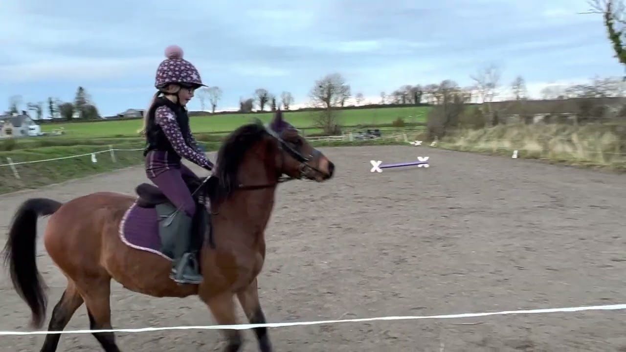 Sophie and Joey - teal autumn prix caprilli