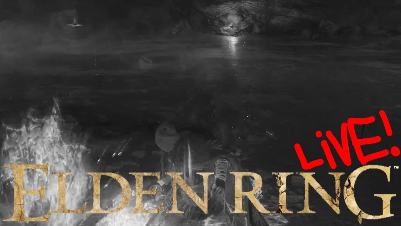 Der unsichtbare Assassiene / Elden Ring 28