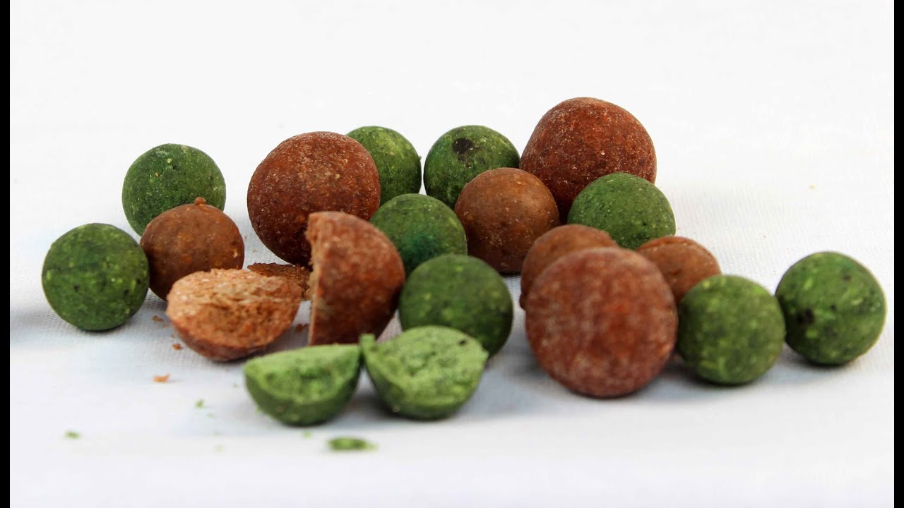 What are boilies? How to catch carp with boilies?