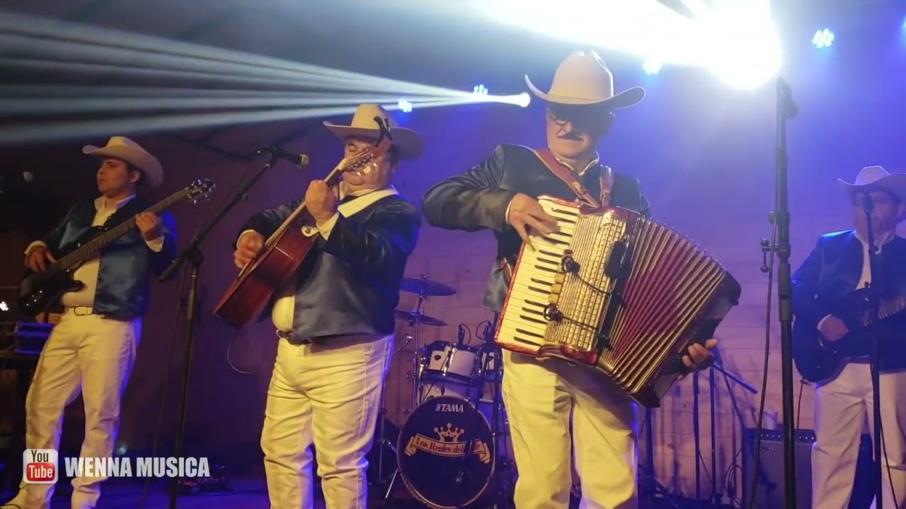 Los Reales del Valle - El R-15 (En Vivo)