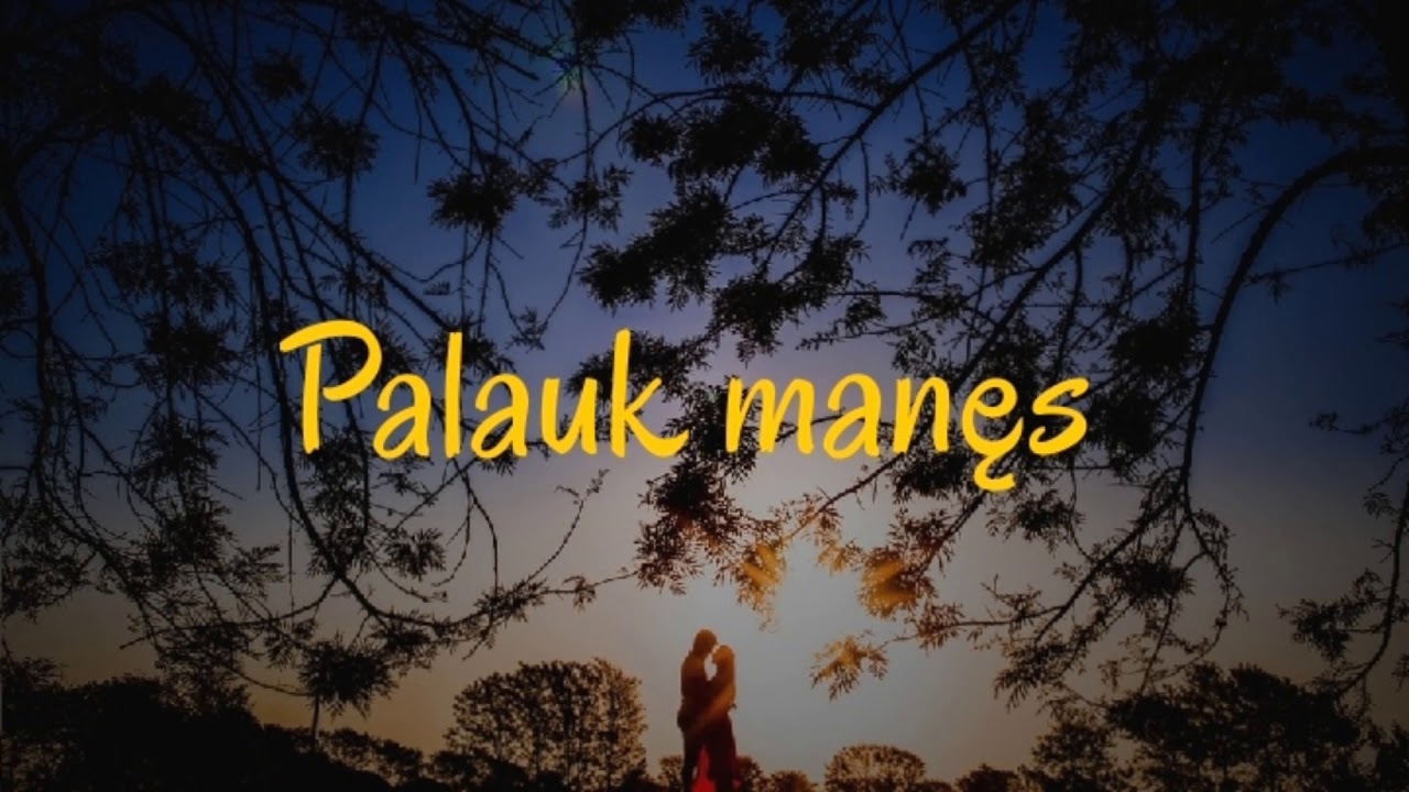 DEMO - PALAUK MANĘS