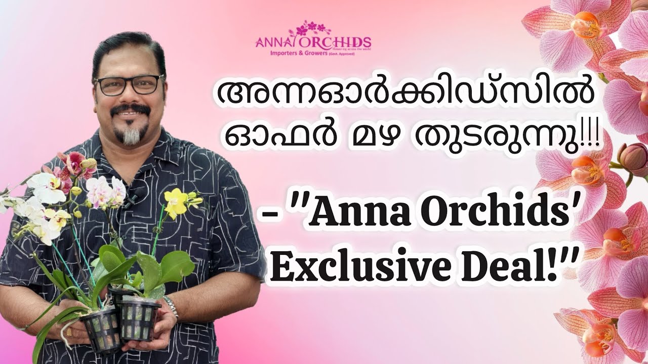 അന്ന ഓർക്കിഡ്സിലെ ഓഫർ ഒരാഴ്ച കൂടി നീട്ടിയിരിക്കുന്നു!!! Anna Orchids exclusive deal Continues!!!