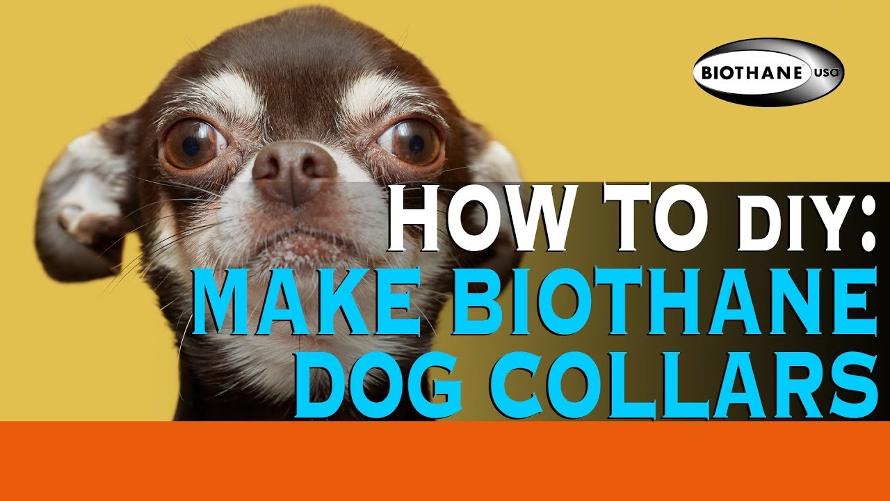 How to Make a BioThane Dog Collar