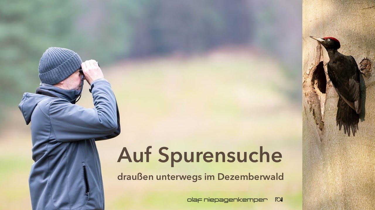 Auf Spurensuche - draußen unterwegs im Dezemberwald.