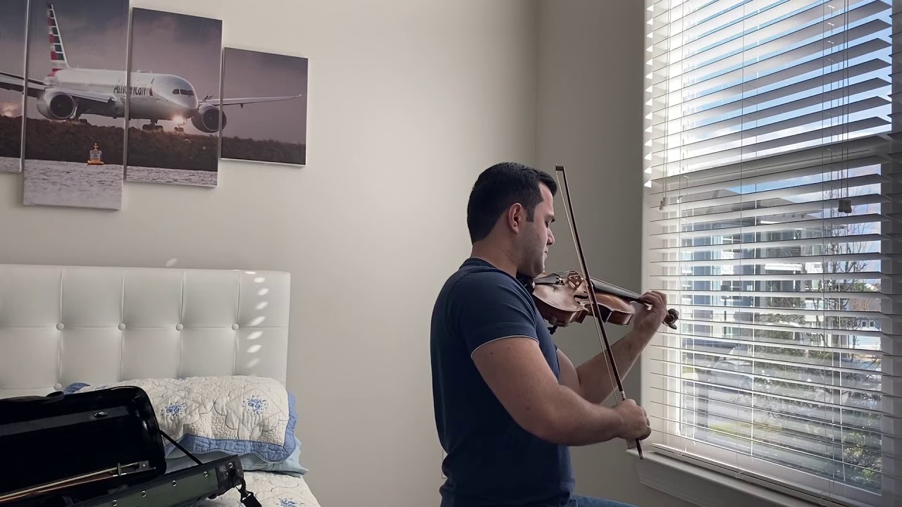 O grande pintor (violino)