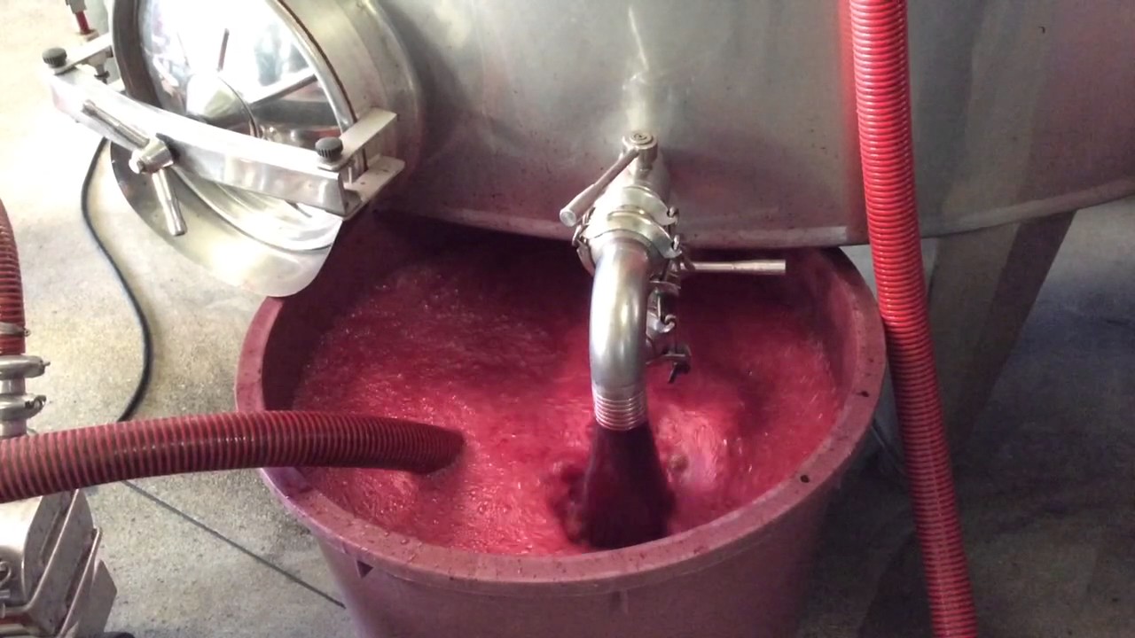 La #svinatura del #Brunello alla Fattoria dei Barbi #vino #wine