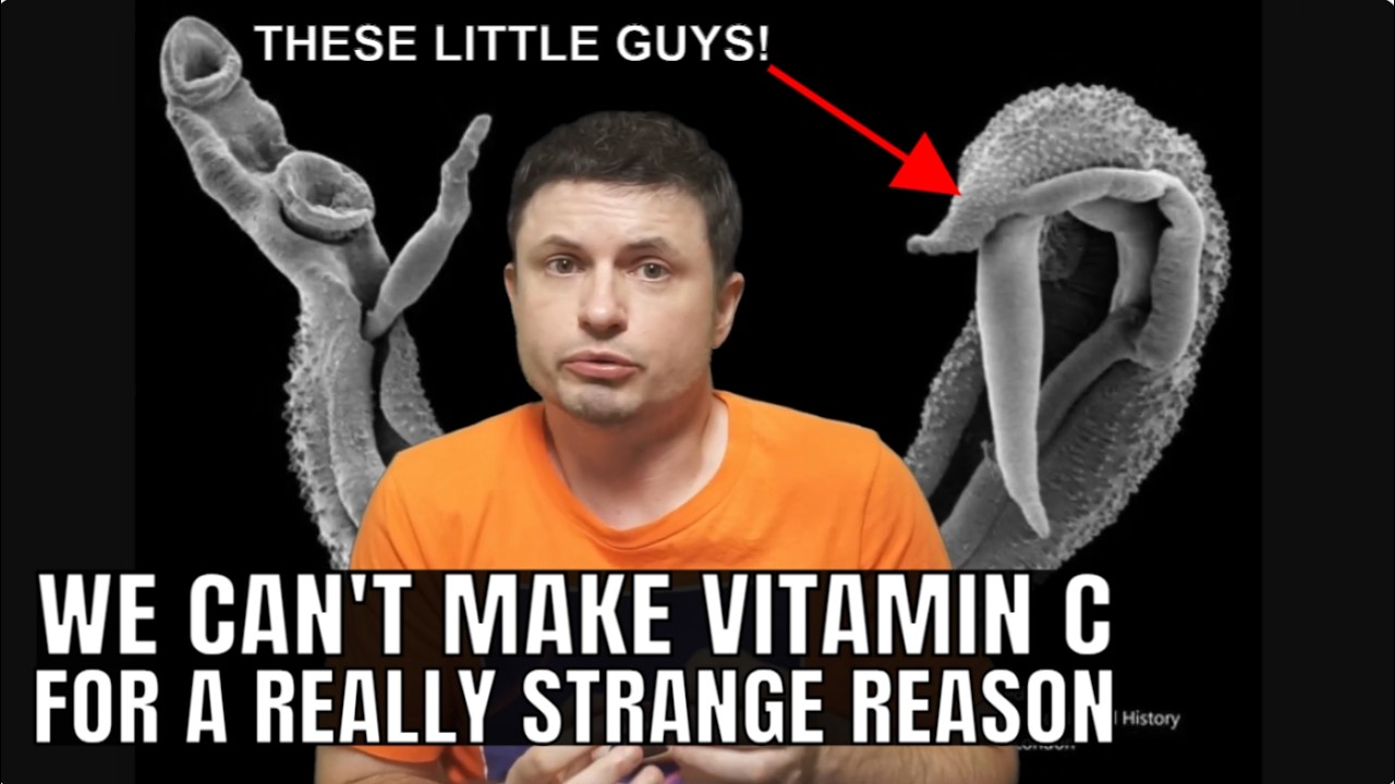 Surprising Reason Why Humans Can't Produce Vitamin C Anymore