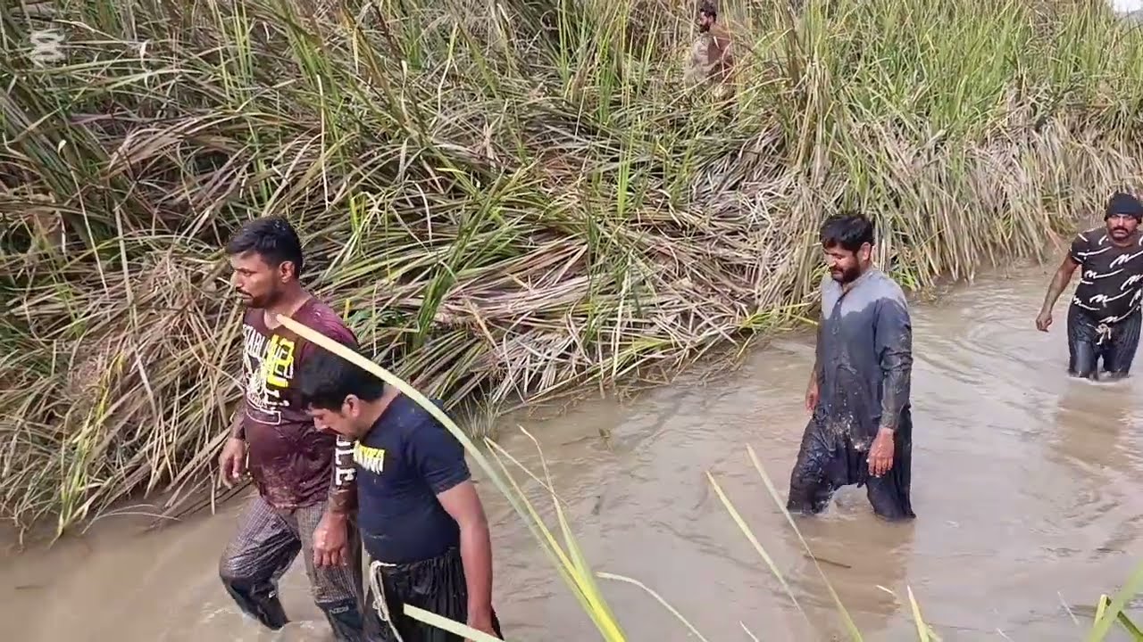 Amezing fish hunting 2026 fishing
