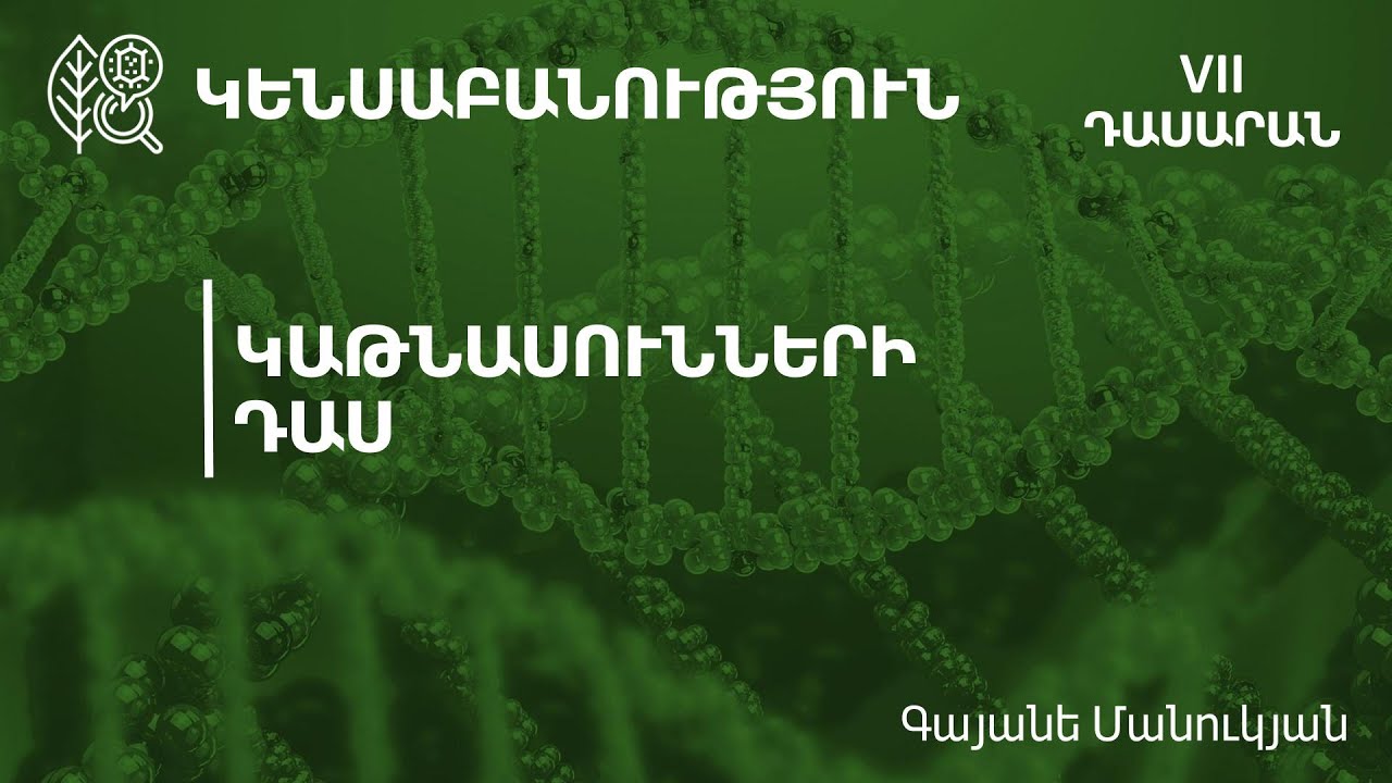 Կաթնասունների դաս. 7-րդ դասարան