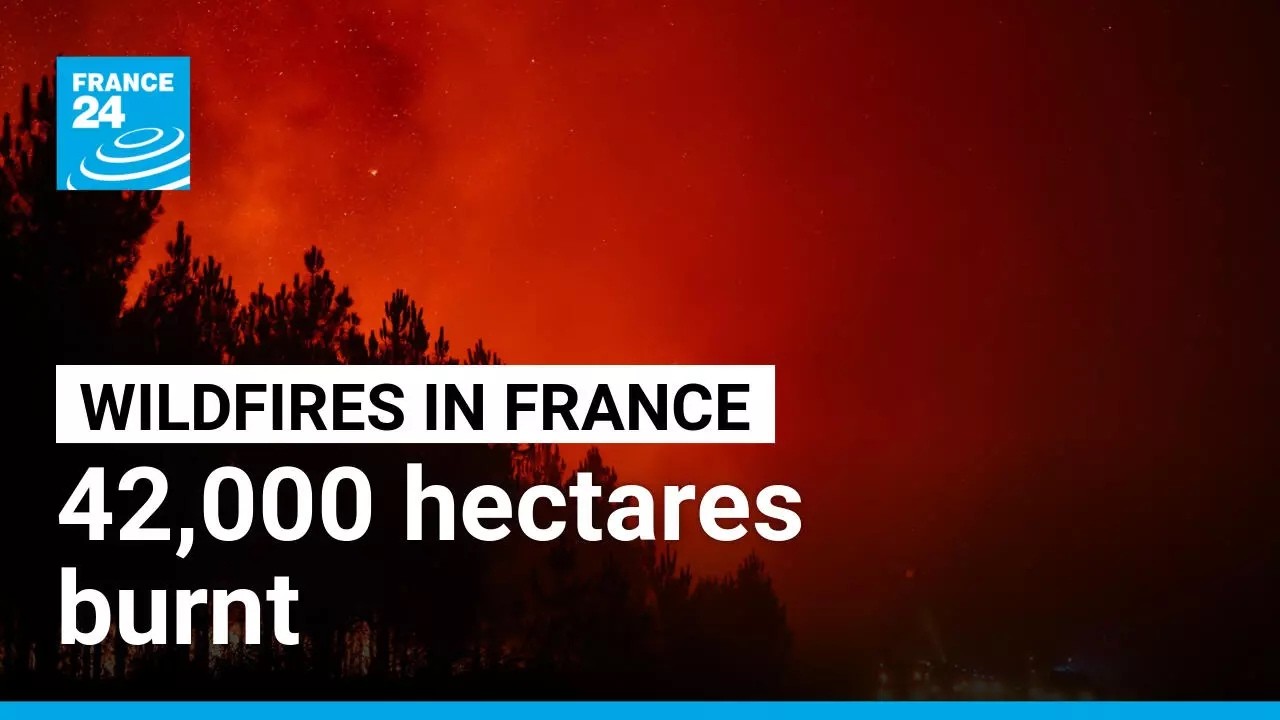 Fires in France: 42,000 hectares burnt, 220,000 people evacuated &bull; FRANCE 24 English