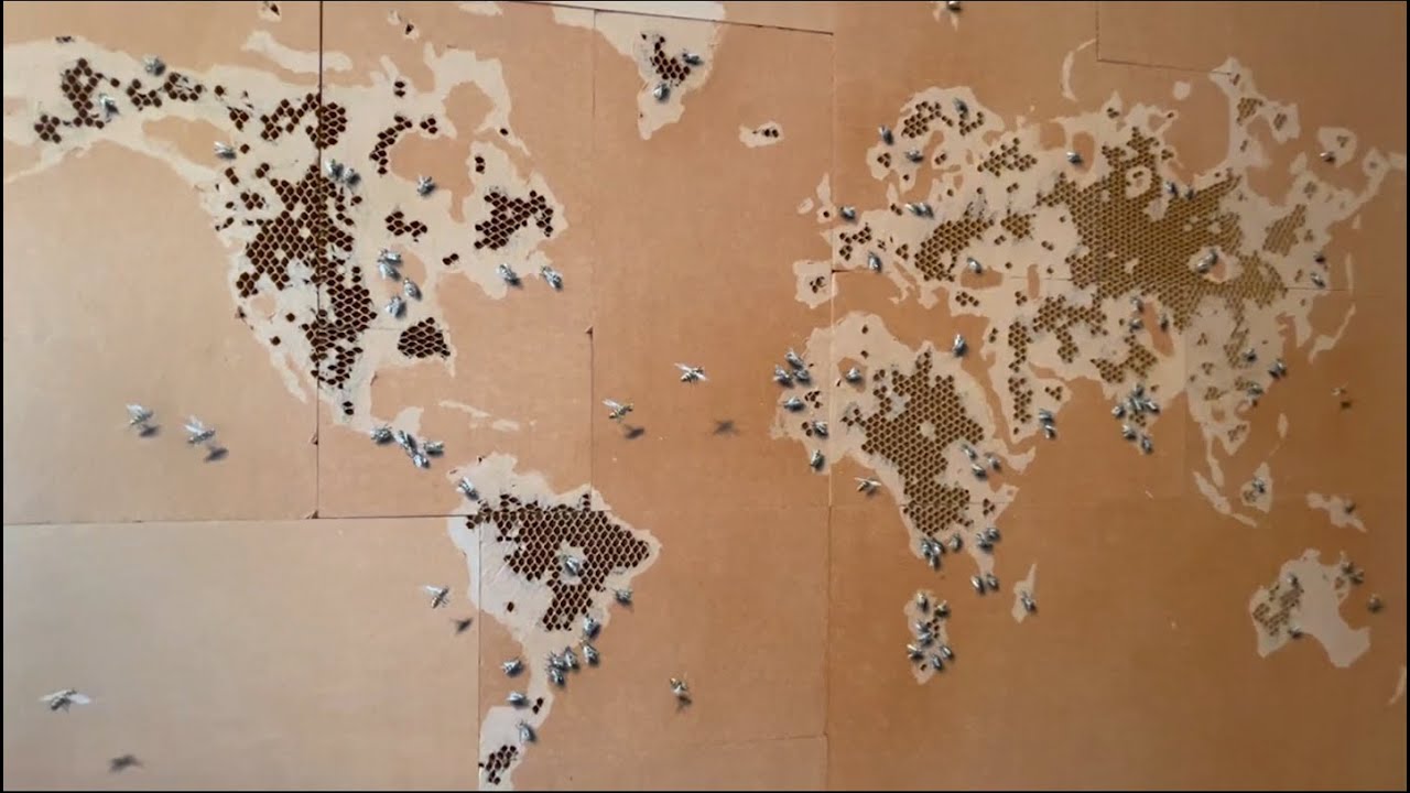 PEJAC | APNEA Exhibition