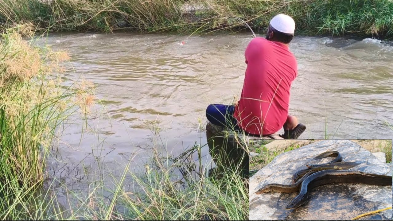 HARDEST FISHING // A FISHER MAN CATCHES A INDIAN EEL FISHES IN FLOATING WATER 