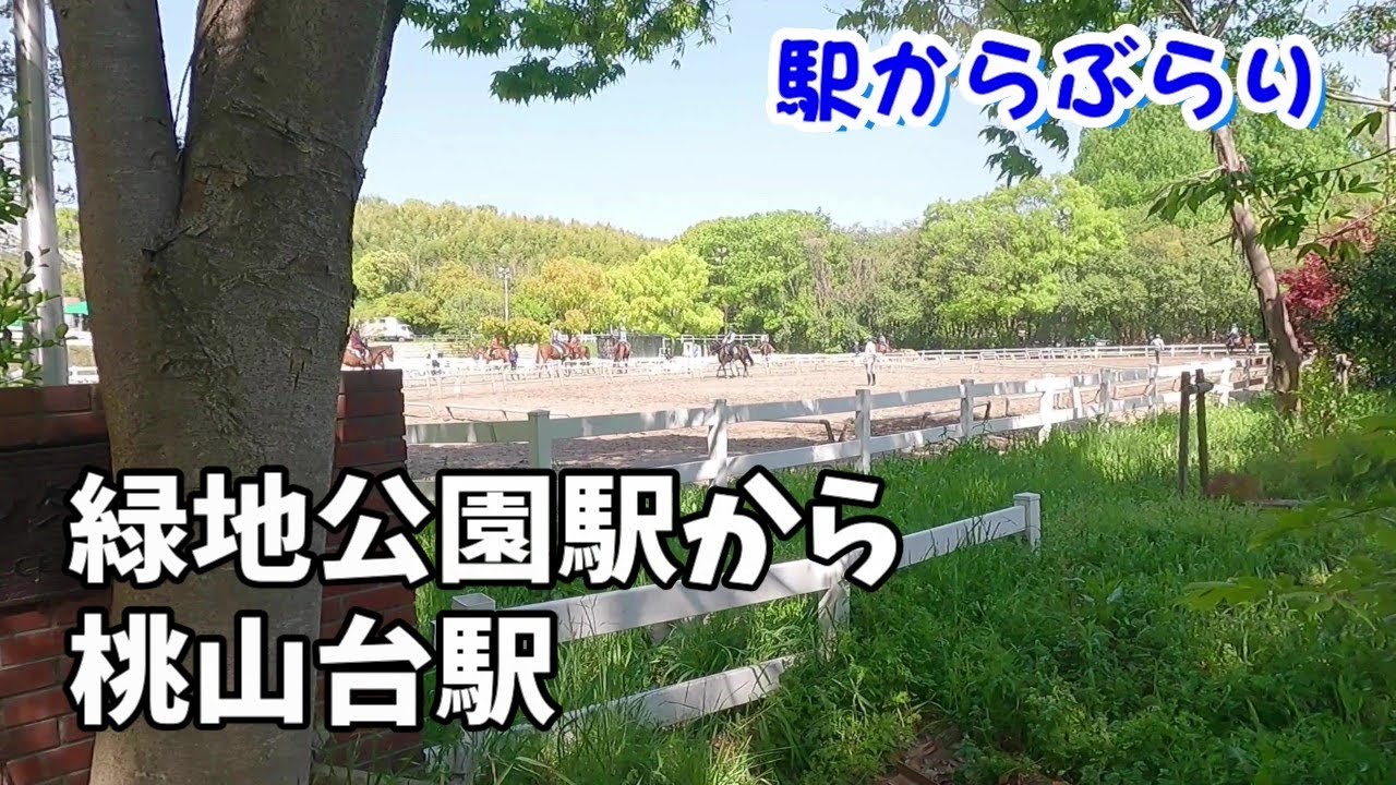 北大阪急行・緑地公園駅から服部緑地を通って桃山台駅へ歩きましてん　Walk around in Osaka