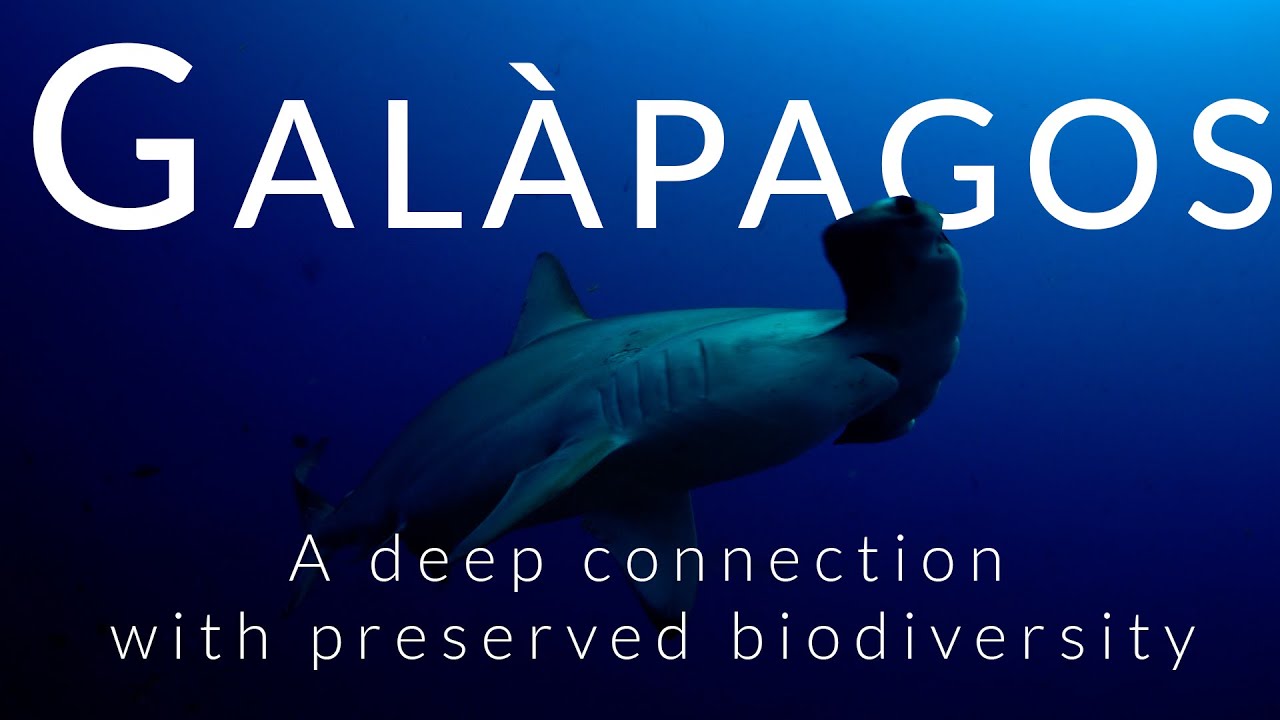 Galápagos, a deep connection with preserved biodiversity