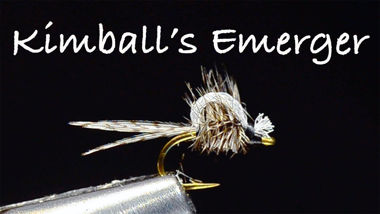 Kimball's Emerger Fly Tying Instructions by Charlie Craven