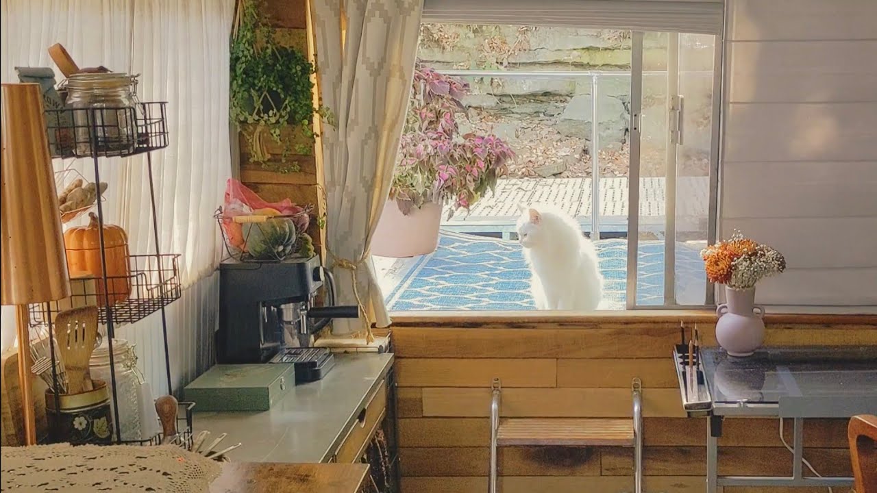 The beauty of simplicity | Live aboard Slow life silent vlog