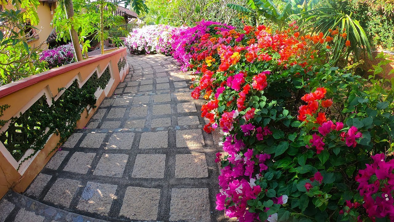 🇻🇳 Walking around Poshanu Resort in Phan Thiet, Vietnam | FoFaFiFl