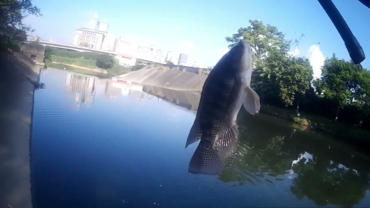 那麼多釣點~~還是這裡最讚