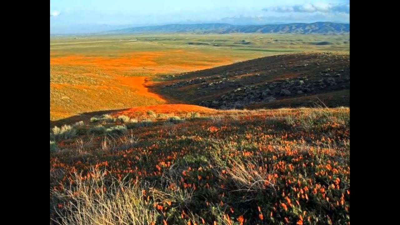 Mountain Music with Photos By John Glass