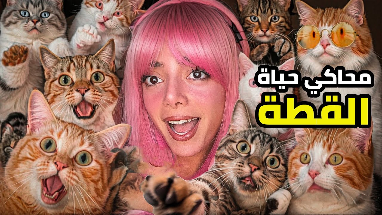 جربت اعيش متل القطط | حياة القطط  🐈😳