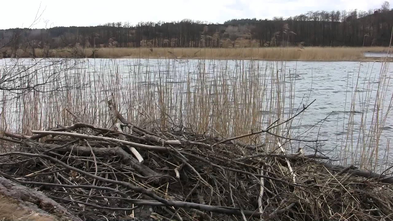 Nordre älv och naturreservat Göddered - Hakered, Vandringstips