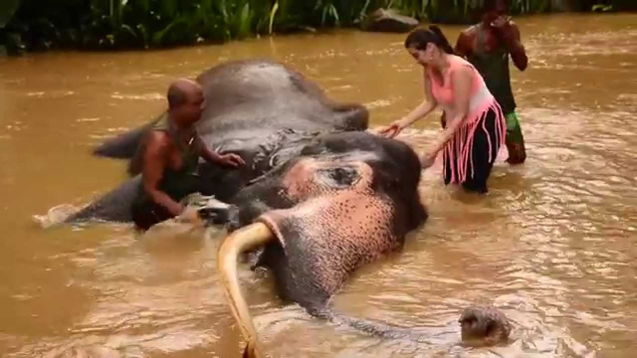 Katka cestuje: Jedeme na slonovi! Sri Lanka, Pinnawala