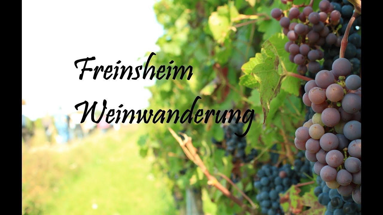 Spurter Films - Cinematic // Freinsheim Weinwanderung