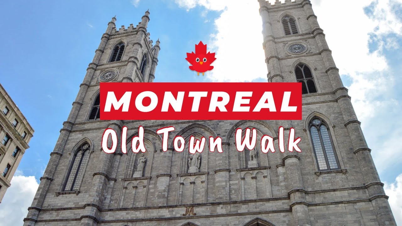 Montreal Walking Tour | Crew Collective Café, Notre-Dame Basilica & Place Vauquelin