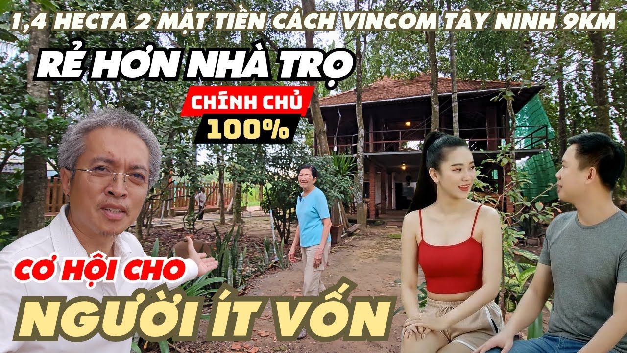 Nhà vườn Tây Ninh 2 mặt tiền 1,4 hecta đất có nhà gỗ ao chuồng trại mà giá cho thuê cực sốc 3,6tr/th