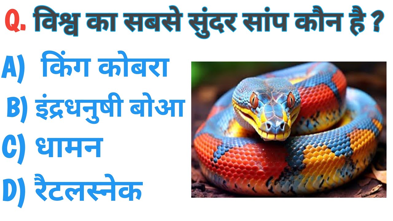 🧠 General Knowledge | Gk Quiz | Gk Questions | टॉप 10 जीके प्रश्न || UPSC EXAM 👇 