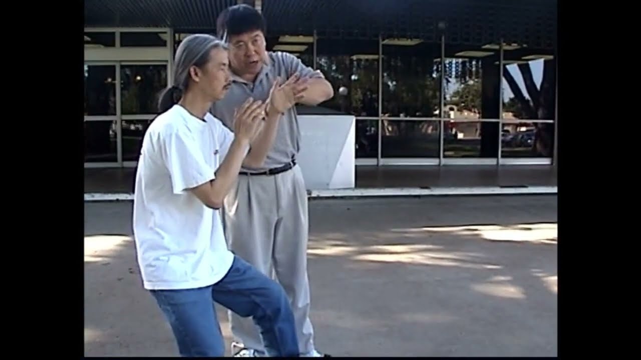 我的太極拳不帶説明書，你看得懂嗎?