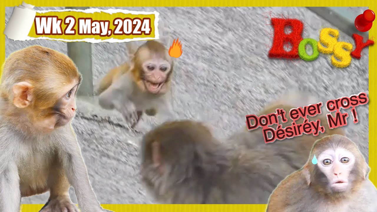 Désiréy'd better not be weaned 😜