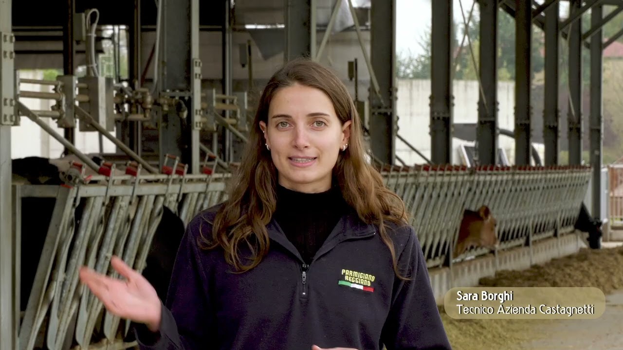 All'origine del Parmigiano Reggiano: Azienda Agricola Castagnetti