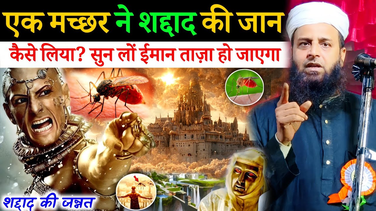 एक मच्छर और सद्दाद और की जन्नत का वाकिया सुनलों | Maulana Sohrab Kalkattawi
