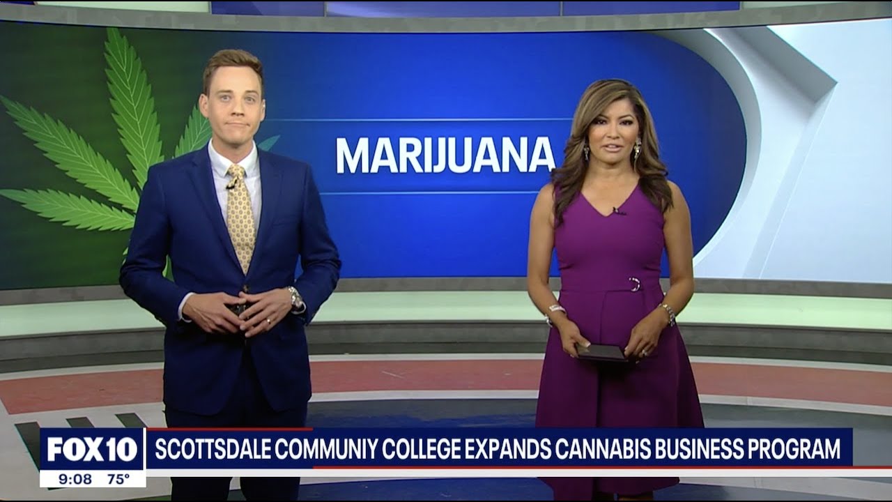 FOX 10: Scottsdale Community College Expands Cannabis Business Program