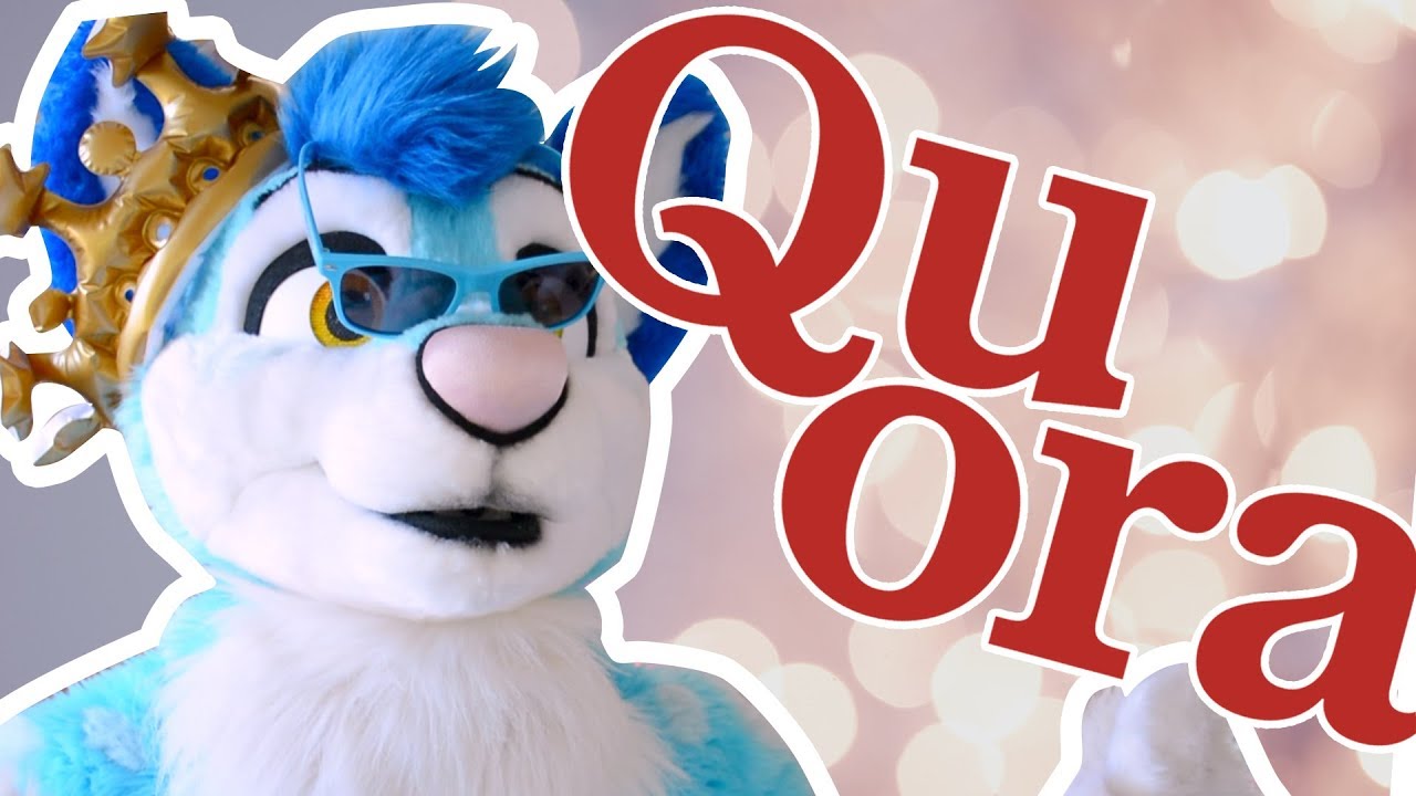 Furries answer questions about them on quora
