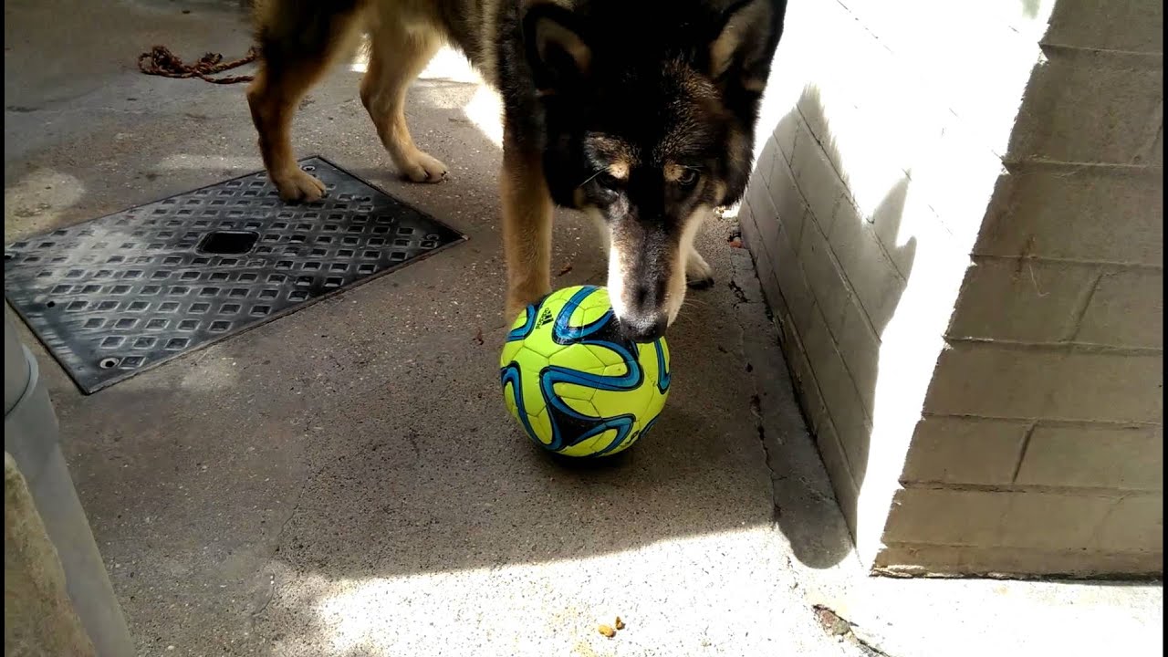 Utonagan football