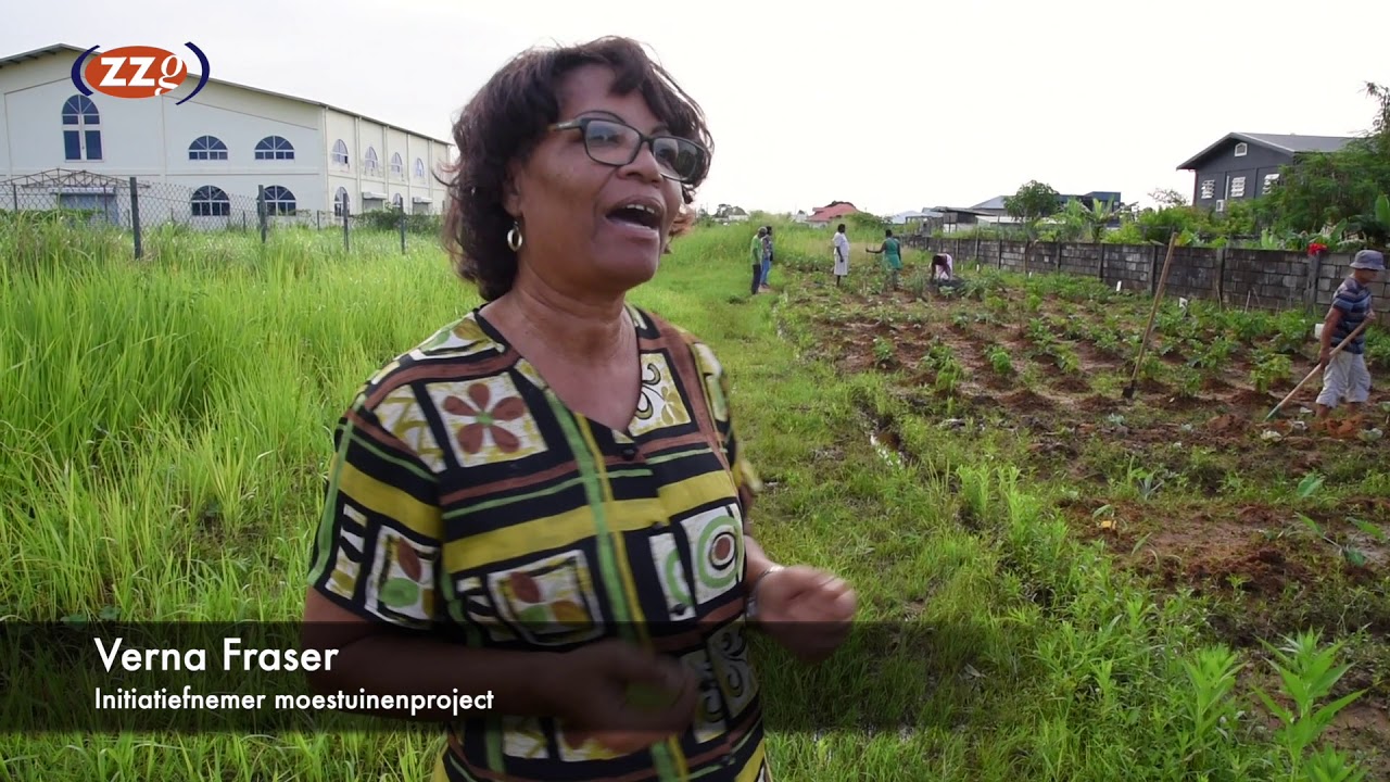 Moestuinenproject Geyersvlijt