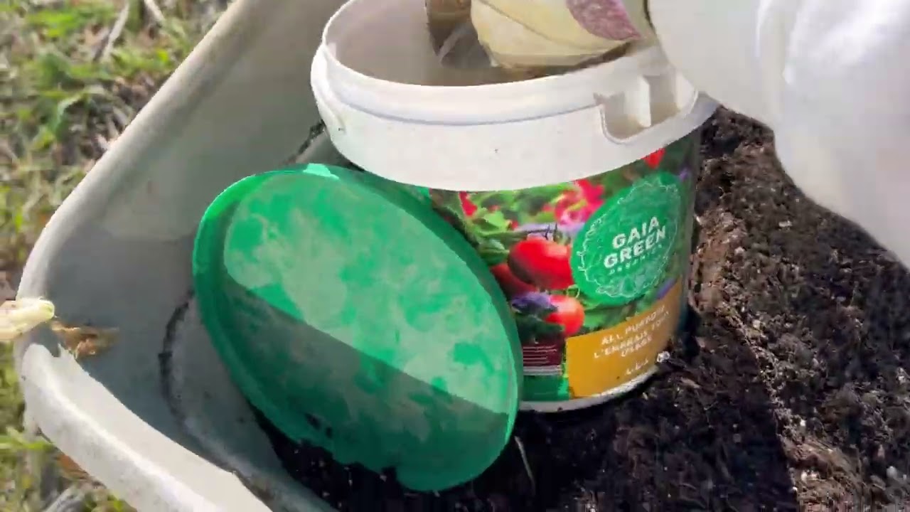 Gaia Green Organic Fertilizer Review  - All Purpose 4 4 4 Blend