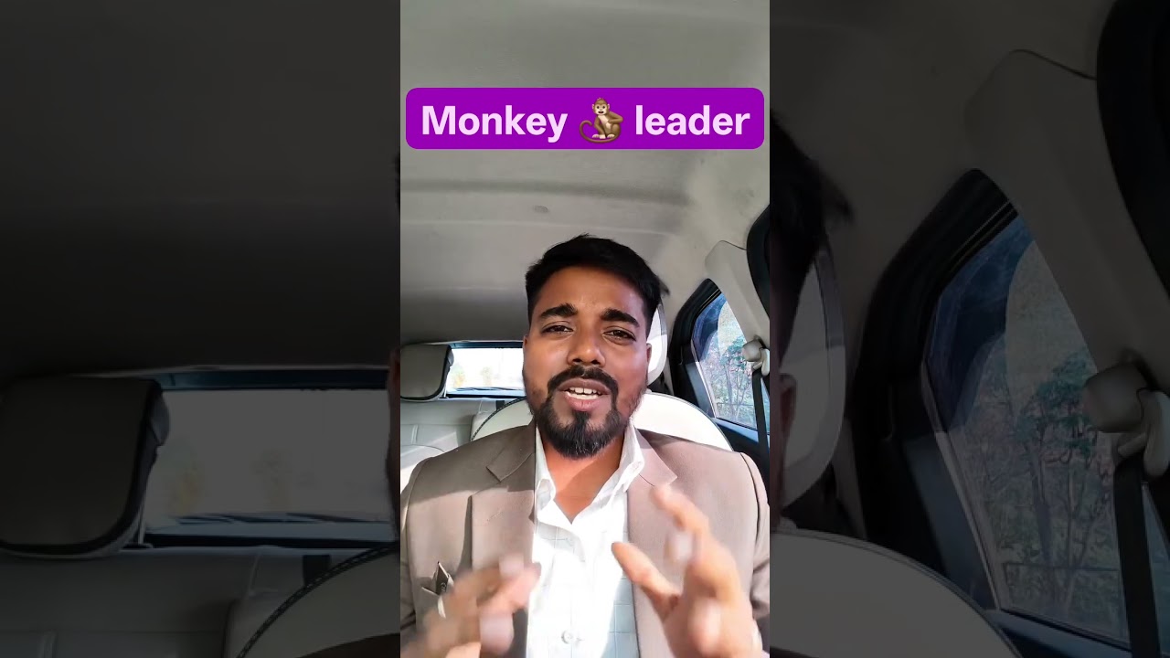 - Quality of Leadership @ Monkey Leader 👎👎👎